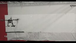 FlyingCalligrapher.jpg